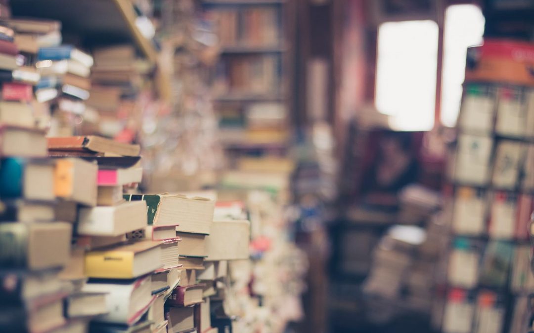 Lesung am 18. Oktober: Mit dem Rollstuhl nach Venedig